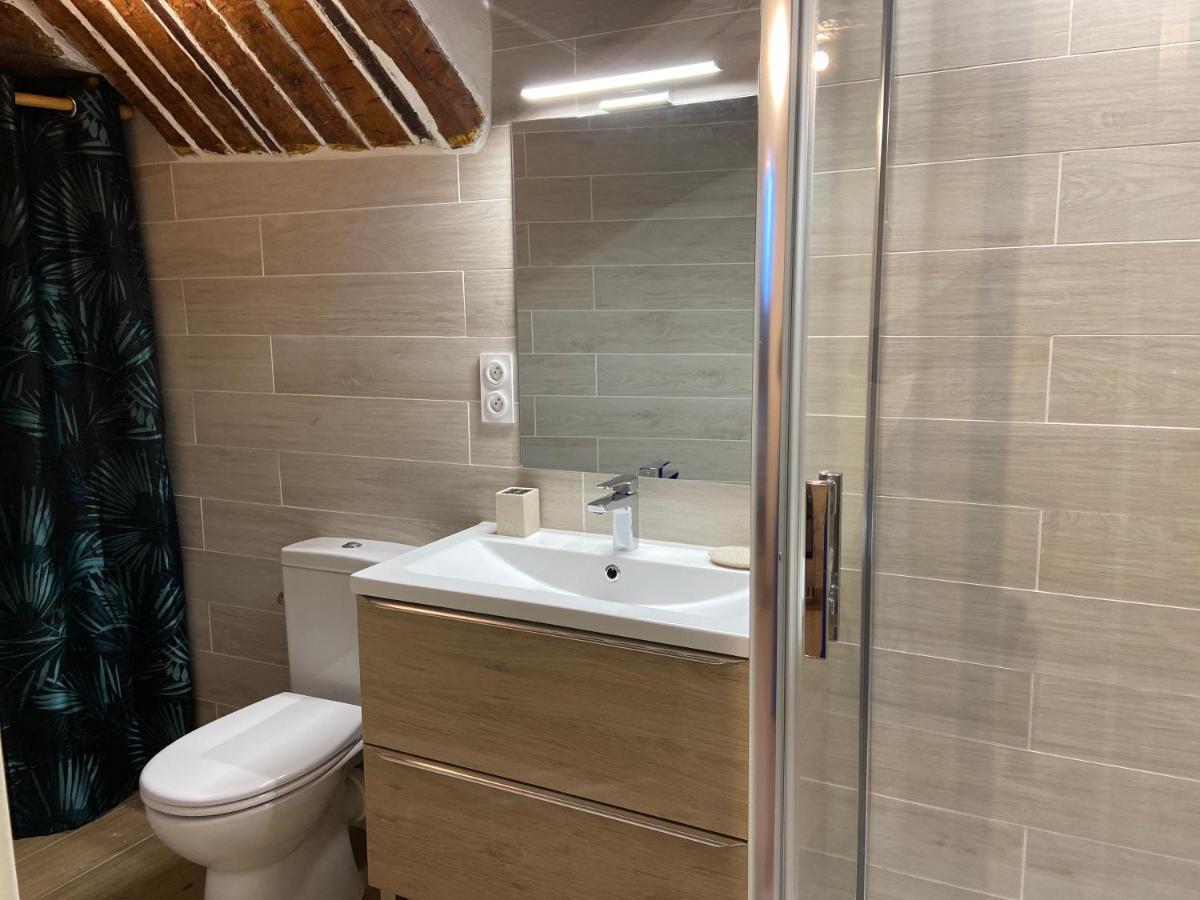 Grand Appartement Centre Historique 格拉斯 外观 照片